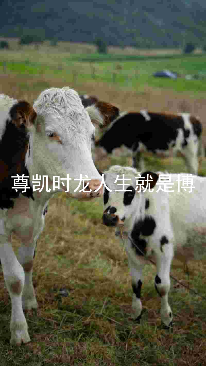 尊凯时龙人生就是博
