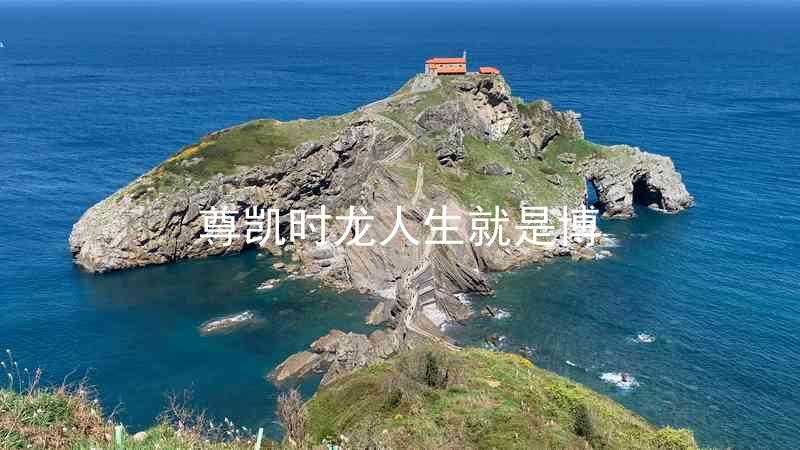 尊凯时龙人生就是博