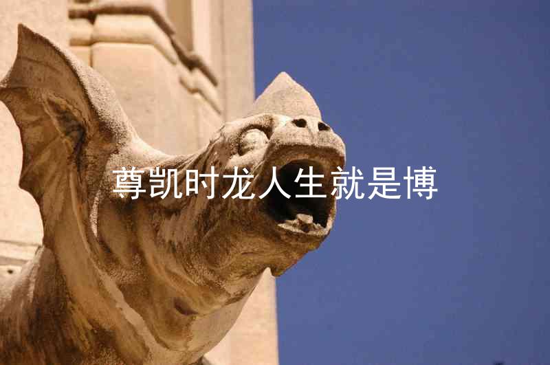 尊凯时龙人生就是博