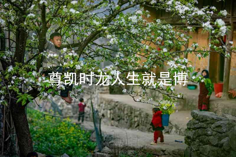 尊凯时龙人生就是博