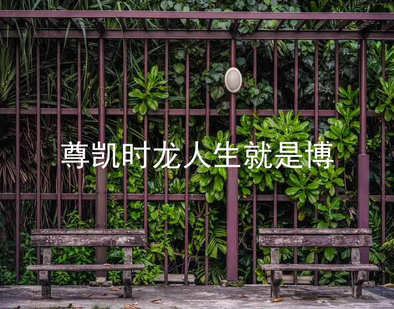 尊凯时龙人生就是博
