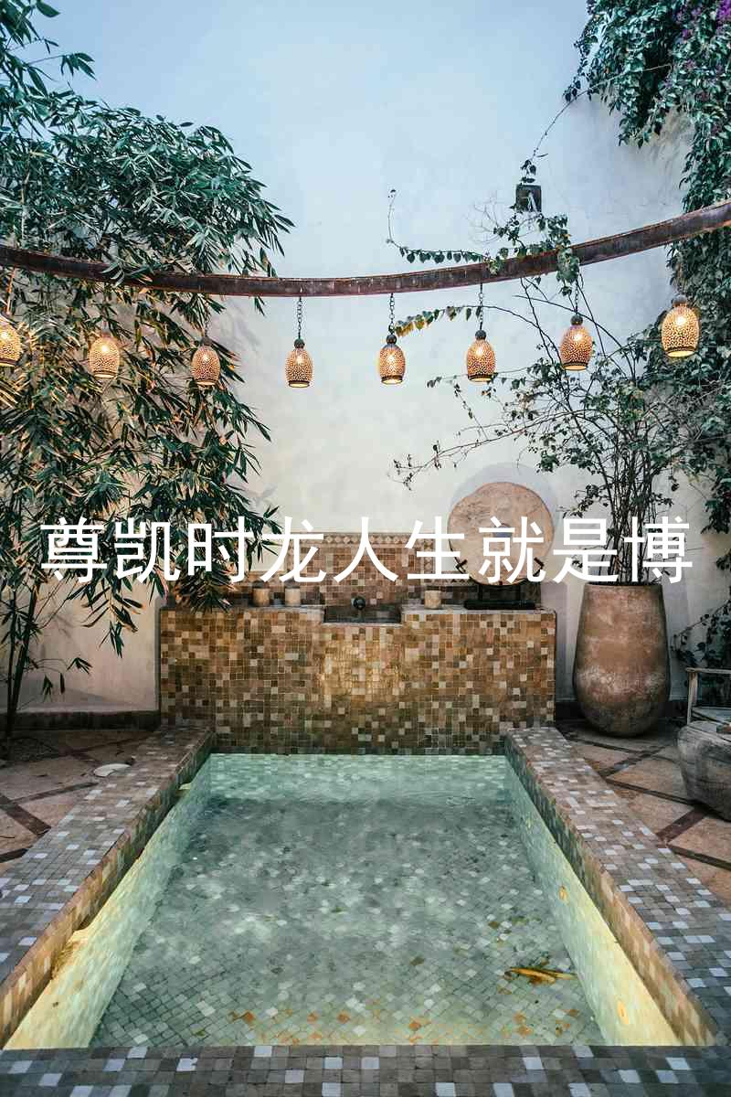 尊凯时龙人生就是博