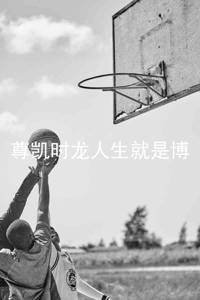 尊凯时龙人生就是博