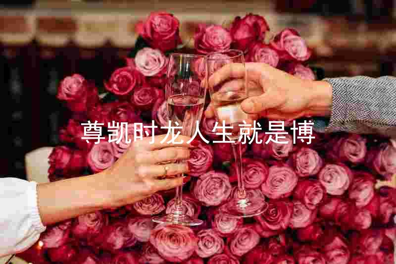 尊凯时龙人生就是博